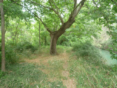 casas rurales en alcala del jucar