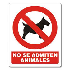 no animales