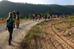 casas rurales en Albacete, casas rurales Alcala del Júcar