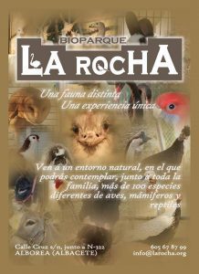 Bioparque La Rocha, Alborea