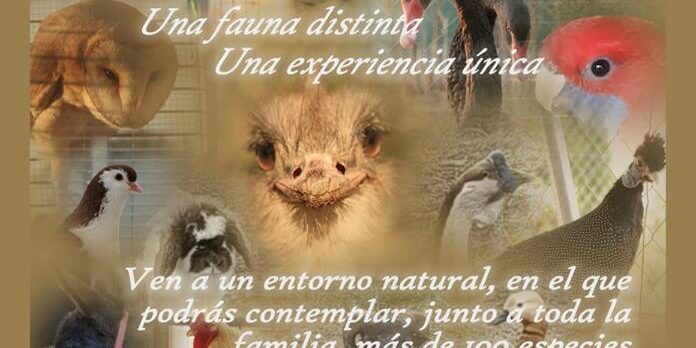 casas rurales en Albacete, casas rurales Alcala del Júcar