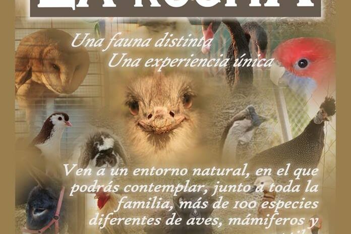 casas rurales en Albacete, casas rurales Alcala del Júcar